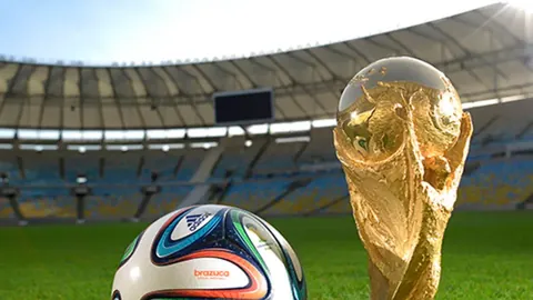 樊振东访日备受瞩目，世界杯弃赛真相揭晓